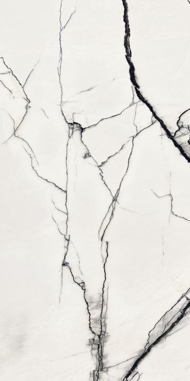B&W Breach Naturale 24 x 48